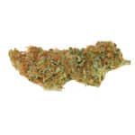 Sweet Amnesia Haze XL Auto Strain