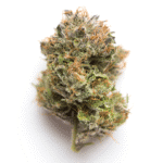 Tarmonster Strain