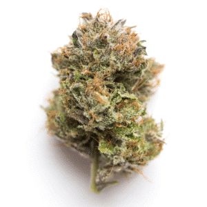 Tarmonster Strain