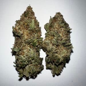Taylor Ham and Cheese Strain