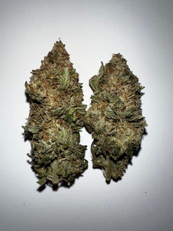 Taylor Ham and Cheese Strain