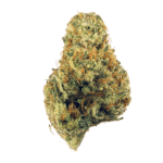 Terminator OG Strain