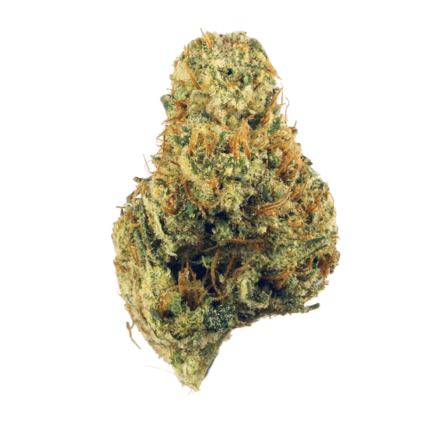 Terminator OG Strain