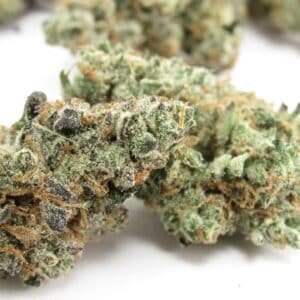 The Judge Strain
