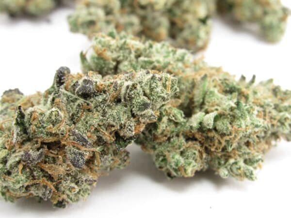 The Judge Strain