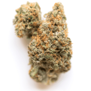 The Loops Strain