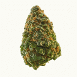 Triple Burger Strain