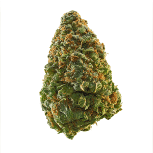 Triple Burger Strain