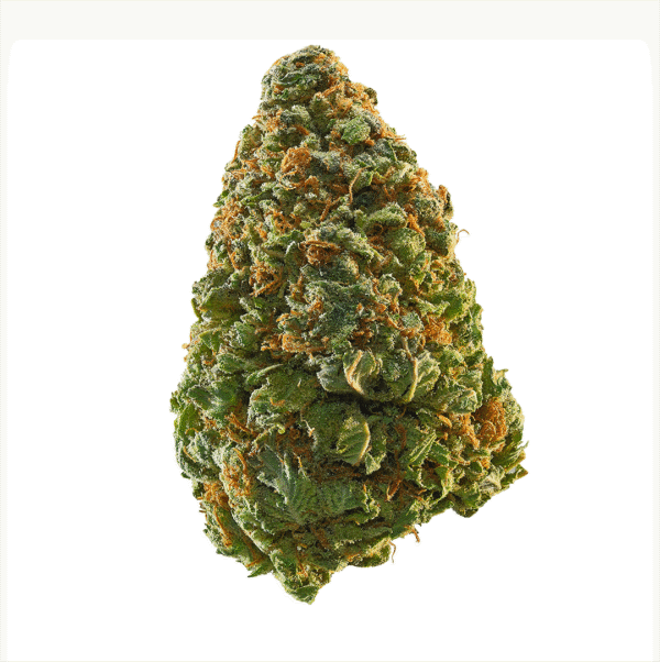 Triple Burger Strain