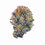 Truntz Strain