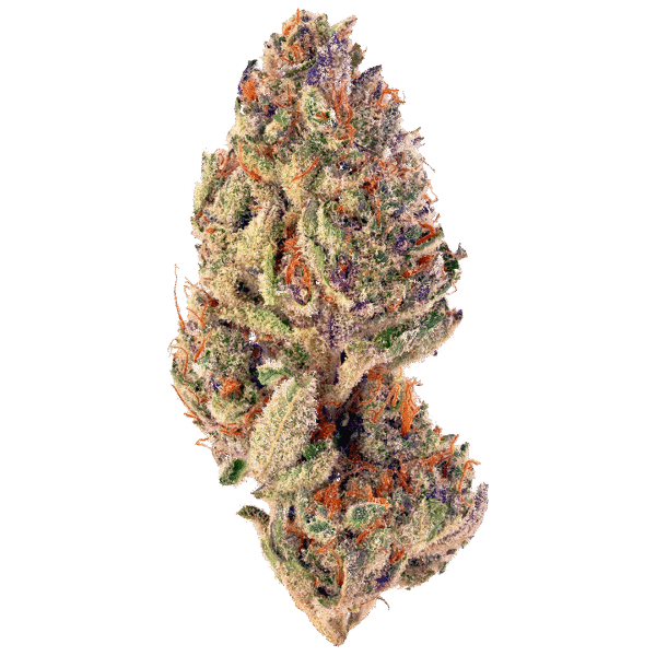 UltraViolet OG Strain