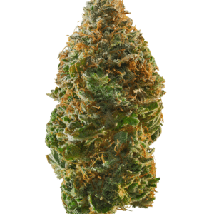Rainbow Crush Strain