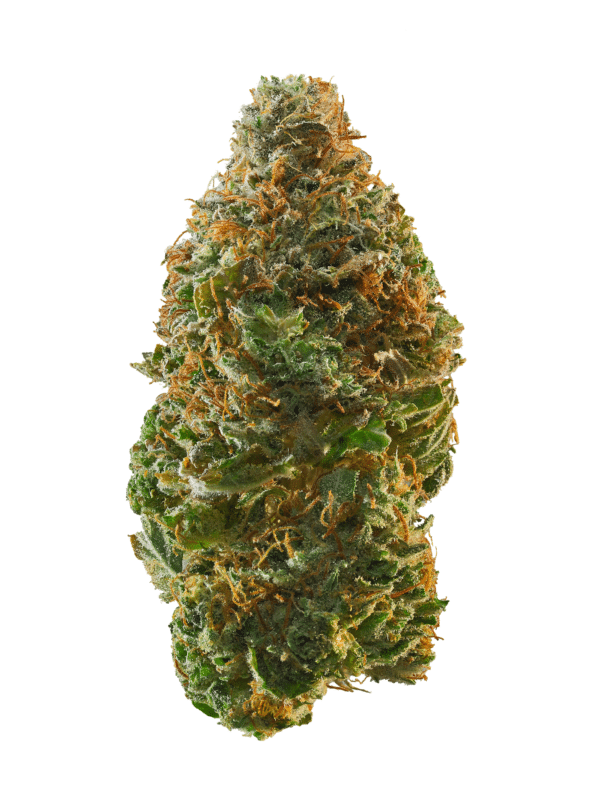 Rainbow Crush Strain