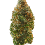Vovo Strain