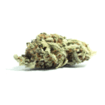 Waiting Game Strain