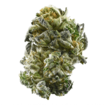 Watermelon Dream Strain