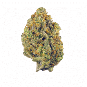 White Poison Strain