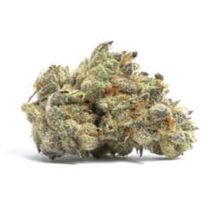 Whitethorn Rose Strain