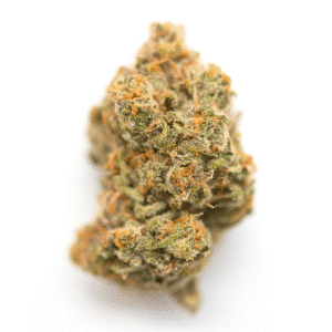 Wood Shiva Strain