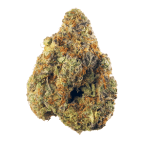 Wyld Stallion Strain
