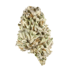 Yuzu MAC Strain