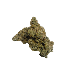 Zen Wen Strain